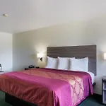 OYO Inn&Suites Medical Center San Antonio